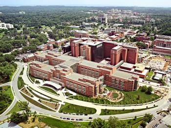 dynamic light scattering nanoparticle size and stability