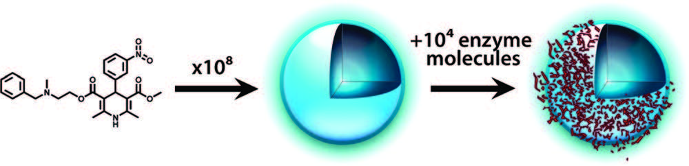 enzymes bind to aggregated compound