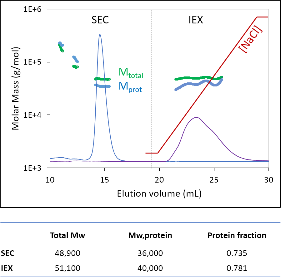 SEC-MALS & IEX-MALS conjugate analysis