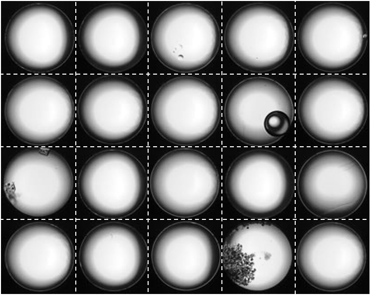 A set of images collected by the onboard camera, showing clean wells and wells containing bubbles, crystals and precipitates.