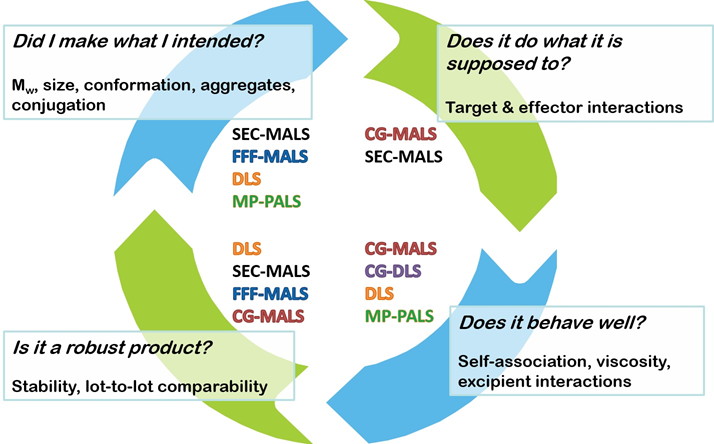 light scattering tools for biotherapeutic R&D cycle