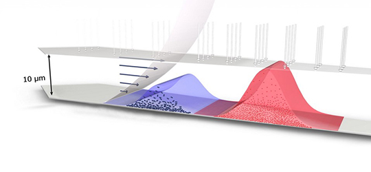 FFF-MALS Illustration