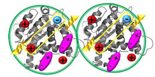 Non-specific Interactions