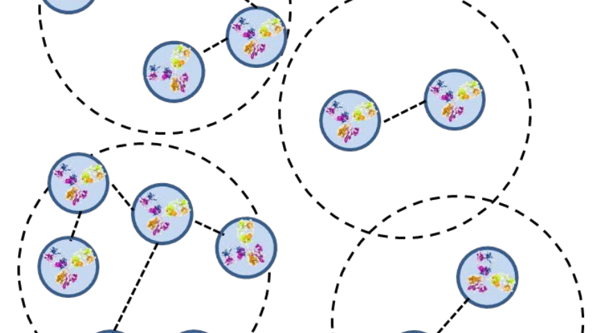 Self-associating Antibody