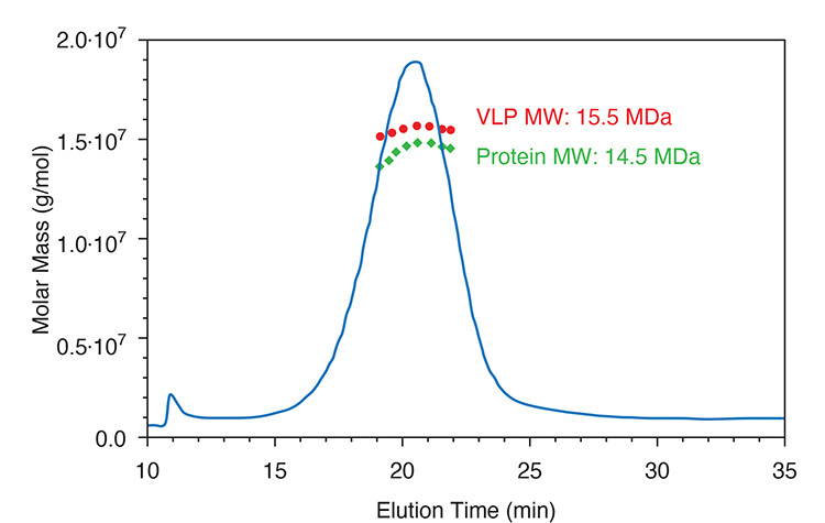 ASTRA software simultaneously determines molar mass distribution for VLP and protein to quantify DNA payload.