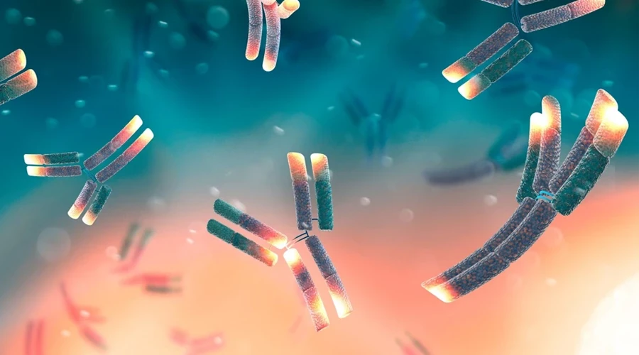 Monoclonal Antibodies